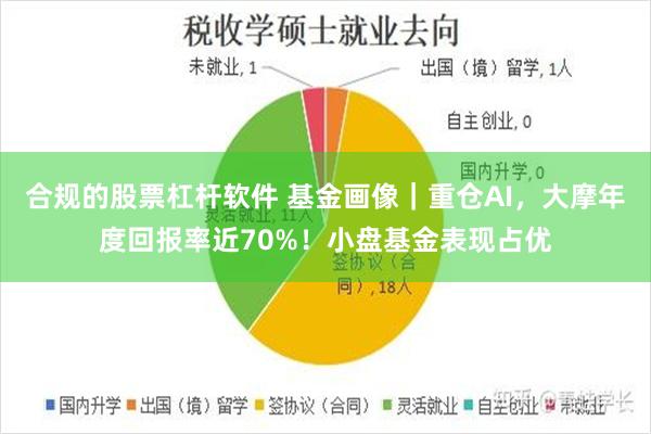 合规的股票杠杆软件 基金画像｜重仓AI，大摩年度回报率近70%！小盘基金表现占优