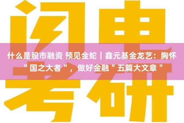 什么是股市融资 预见金蛇｜鑫元基金龙艺：胸怀＂国之大者＂，做好金融＂五篇大文章＂