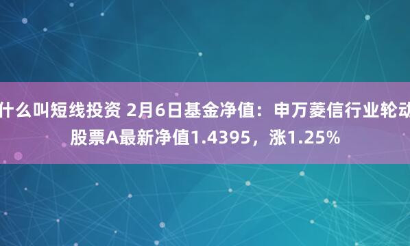 什么叫短线投资 2月6日基金净值：申万菱信行业轮动股票A最新净值1.4395，涨1.25%