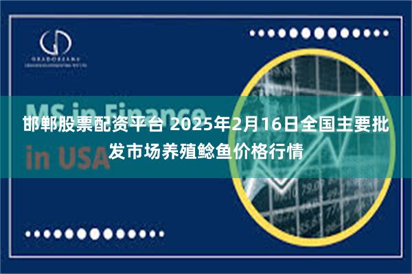 邯郸股票配资平台 2025年2月16日全国主要批发市场养殖鲶鱼价格行情