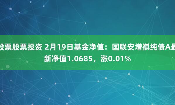 股票股票投资 2月19日基金净值：国联安增祺纯债A最新净值1.0685，涨0.01%